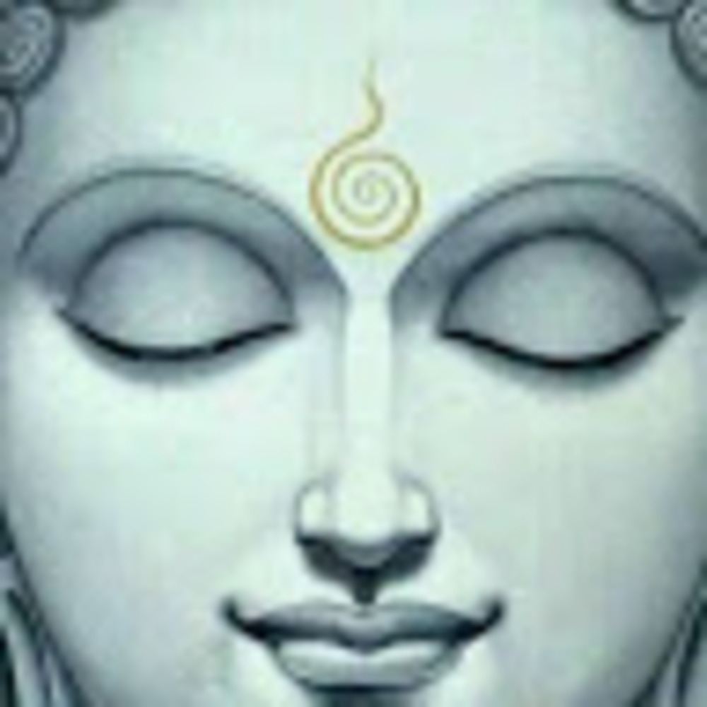 Meet your Posher, Florence